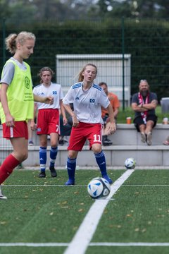 Bild 69 - C-Juniorinnen HSV - Walddoerfer : Ergebnis: 9:1